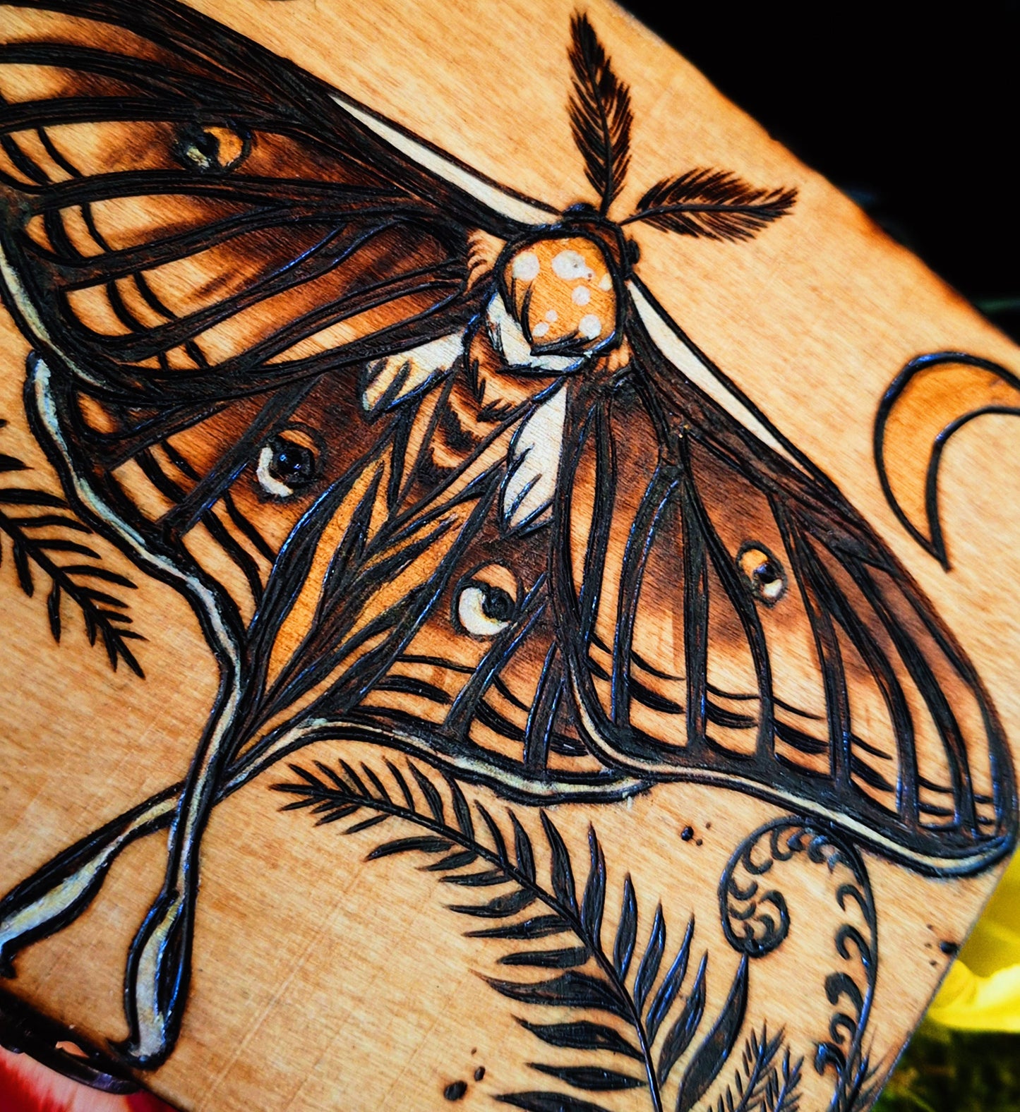 Boite à thé pyrogravé Papillon