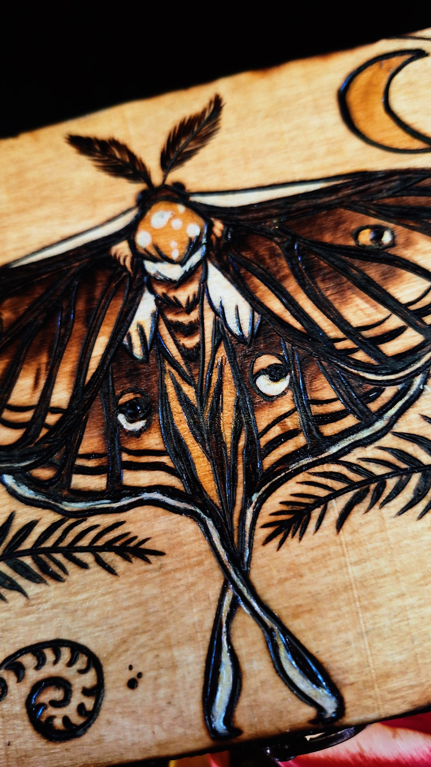 Boite à thé pyrogravé Papillon